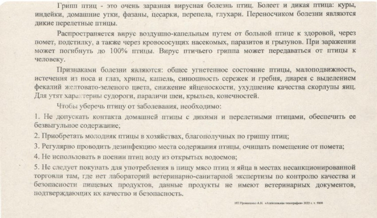 Грипп птиц. Грипп птиц.