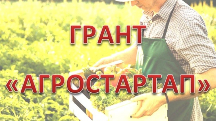 Грант "Агростартап".