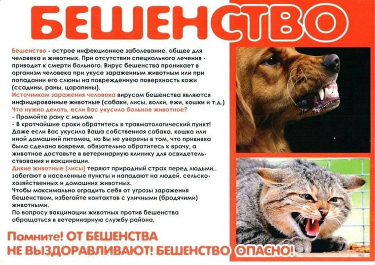 Информация для населения. Информация для населения.
