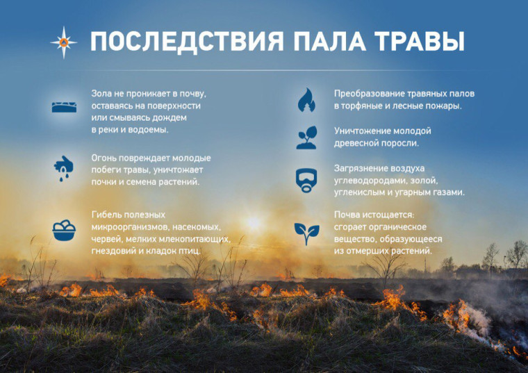 Как только сходит снег, по всей стране начинается народная забава – «запали поле» или пал травы. Существует миф о благоприятном влиянии палов на природу: выжигание способствует лучшему росту травы. Но такие представления ошибочны и существуют до сих пор т. Как только сходит снег, по всей стране начинается народная забава – «запали поле» или пал травы. Существует миф о благоприятном влиянии палов на природу: выжигание способствует лучшему росту травы. Но такие представления ошибочны и существуют до сих пор т.